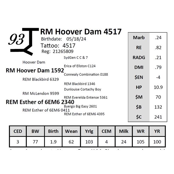 RM Hoover Dam 4517