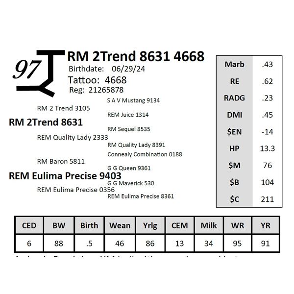 RM 2Trend 8631 4668