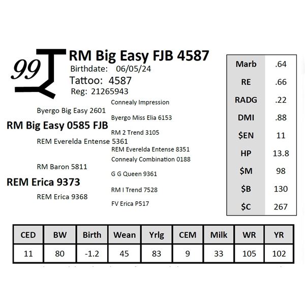 RM Big Easy FJB 4587