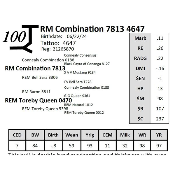 RM Combination 7813 4647
