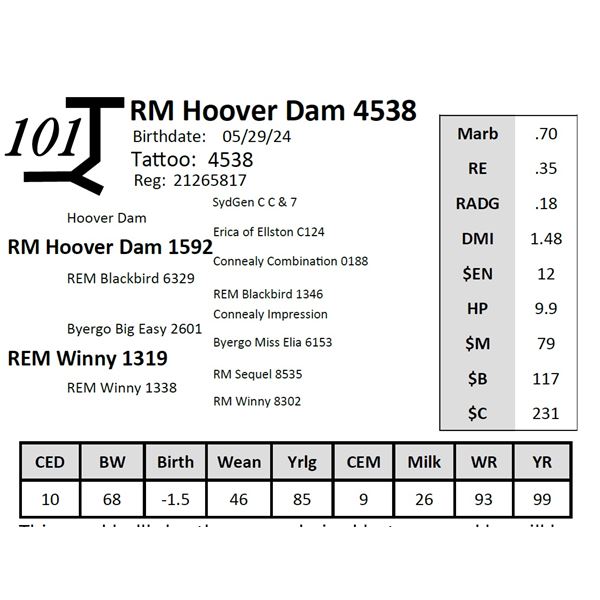 RM Hoover Dam 4538