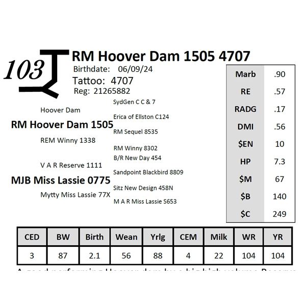 RM Hoover Dam 1505 4707
