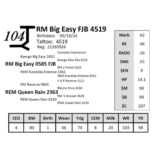 RM Big Easy FJB 4519