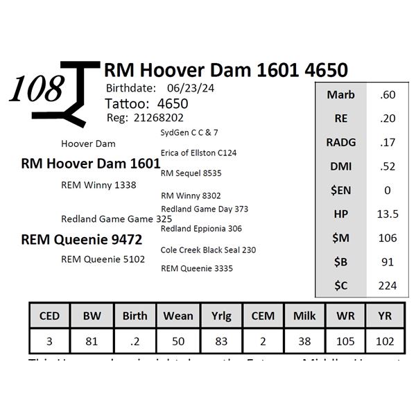 RM Hoover Dam 1601 4650