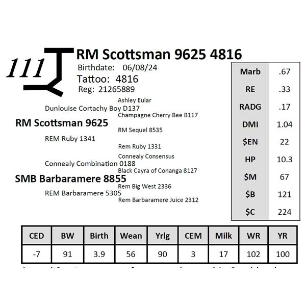 RM Scottsman 9625