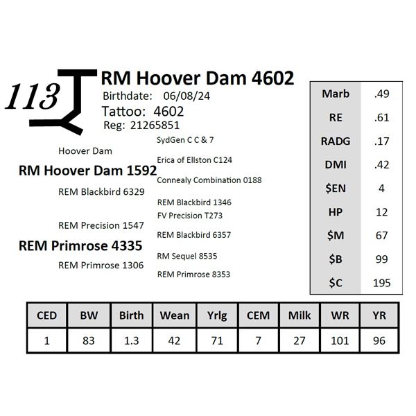 RM Hoover Dam 4602