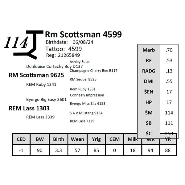 Rm Scottsman 4599