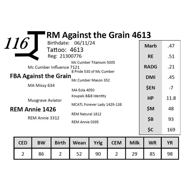 RM Against the Grain 4613