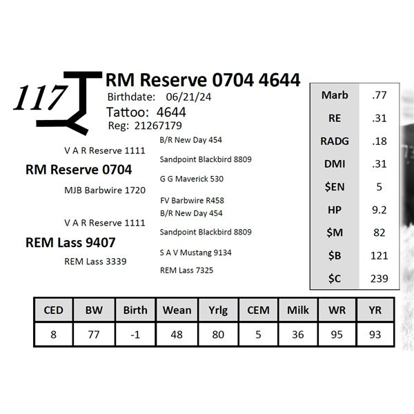 RM Reserve 0704 4644