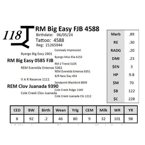 RM Big Easy FJB 4588