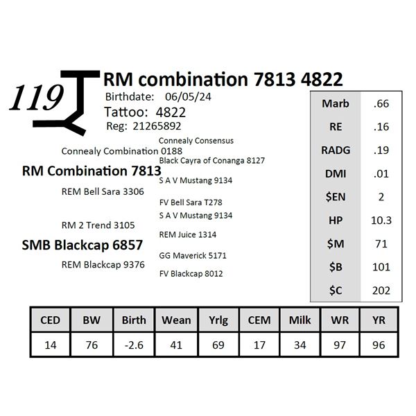 RM combination 7813 4822