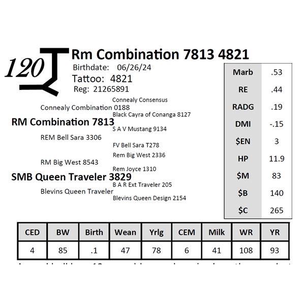 Rm Combination 7813 4821