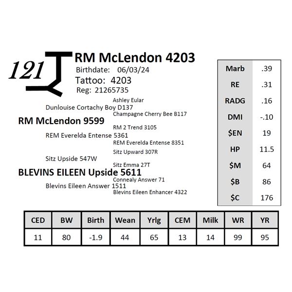 RM McLendon 4203