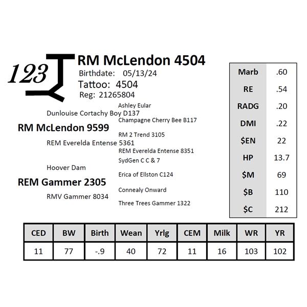 RM McLendon 4504