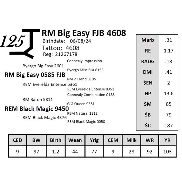 RM Big Easy FJB 4608