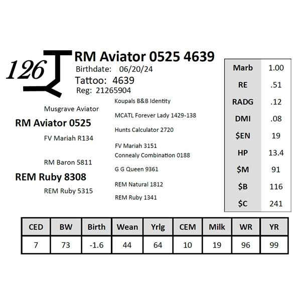 RM Aviator 0525 4639
