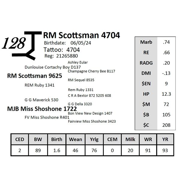 RM Scottsman 4704