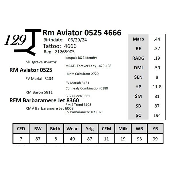 Rm Aviator 0525 4666
