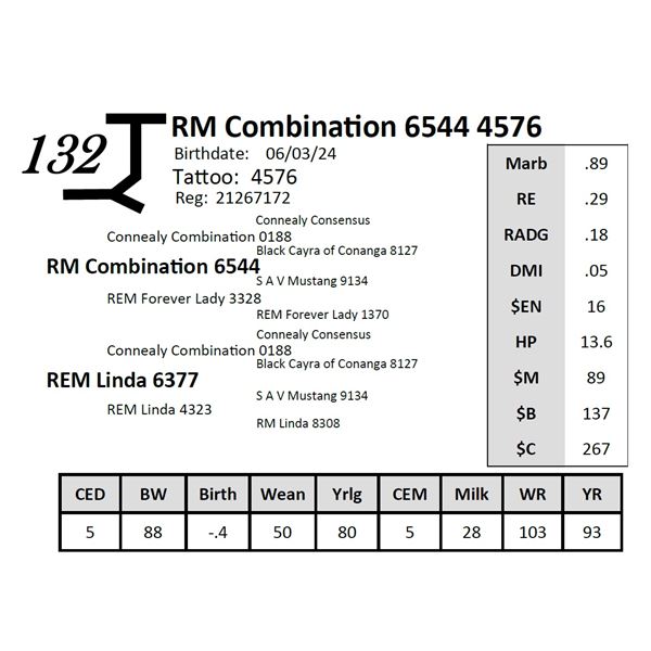 RM Combination 6544 4576