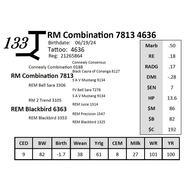 RM Combination 7813 4636