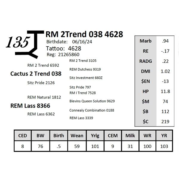 RM 2Trend 038 4628