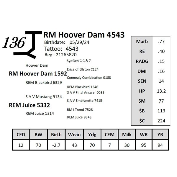 RM Hoover Dam 4543
