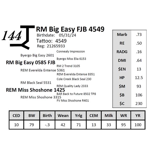 RM Big Easy FJB 4549