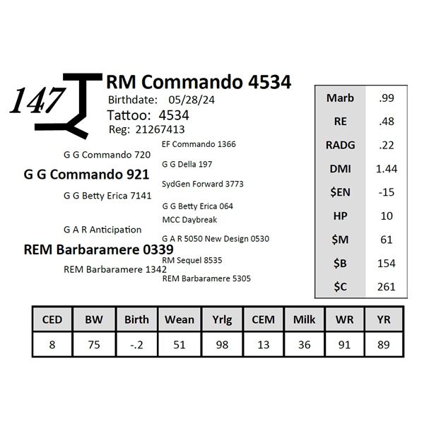 RM Commando 4534