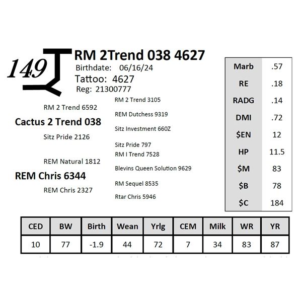 RM 2Trend 038 4627