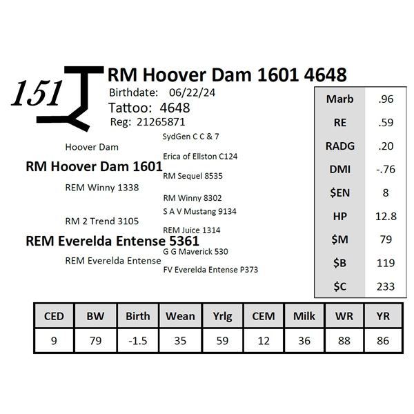 RM Hoover Dam 1601 4648