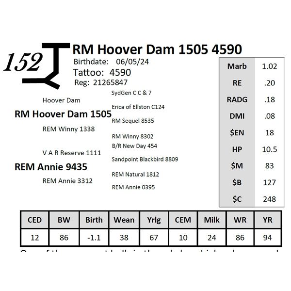 RM Hoover Dam 1505 4590
