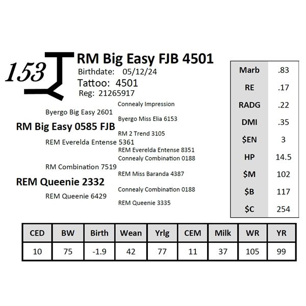 RM Big Easy FJB 4501