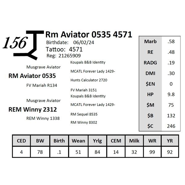Rm Aviator 0535 4571