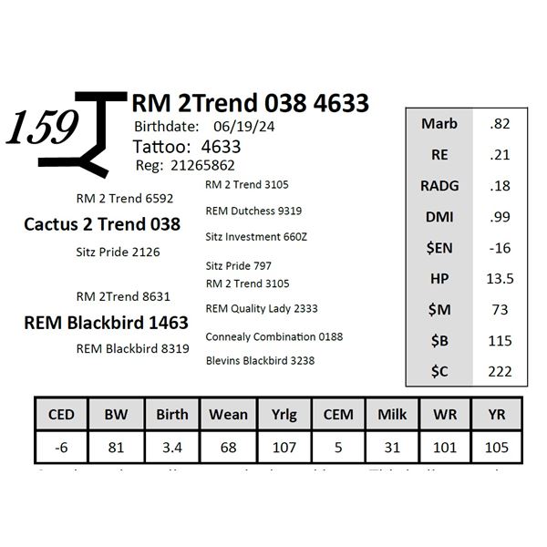 RM 2Trend 038 4633