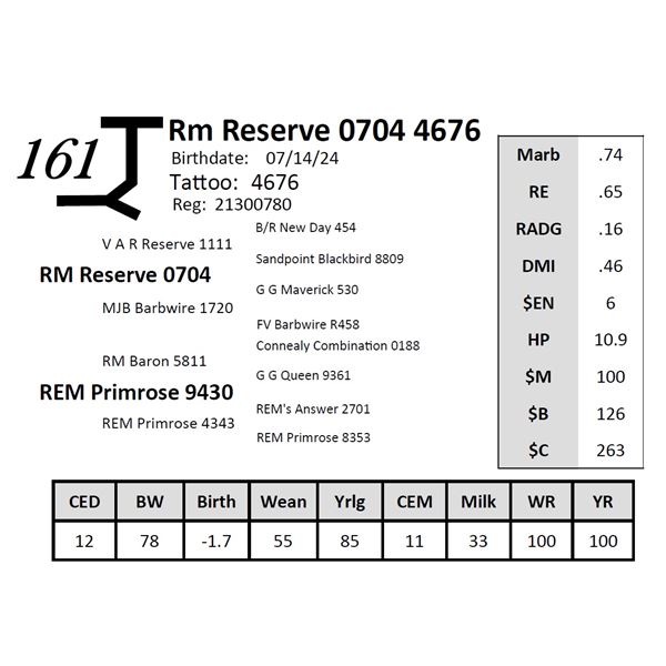 Rm Reserve 0704 4676