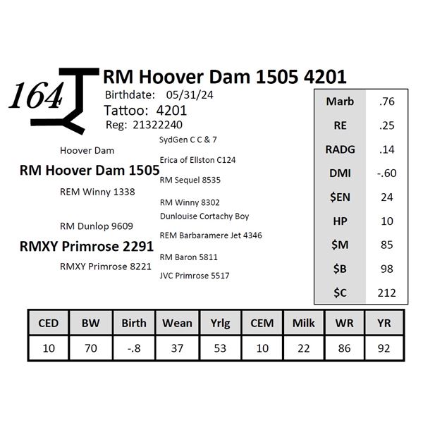 RM Hoover Dam 1505 4201