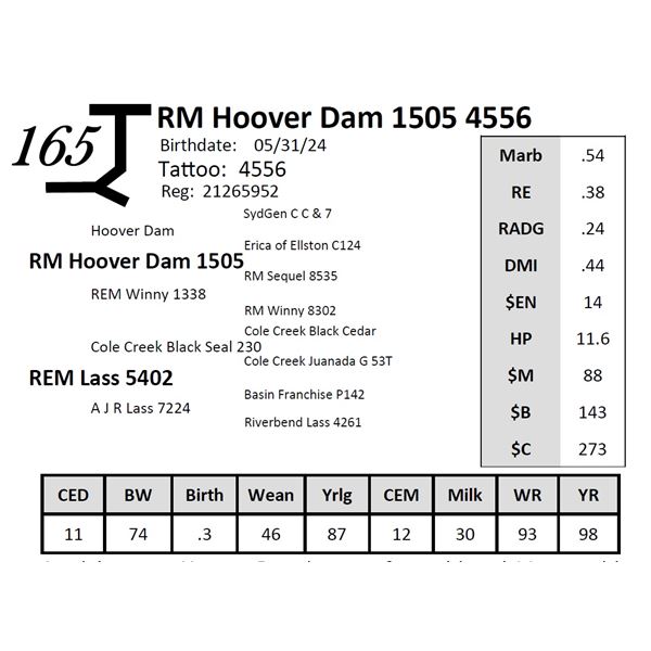 RM Hoover Dam 1505 4556