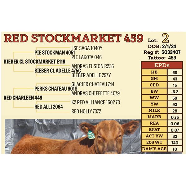 RED STOCKMARKET 459