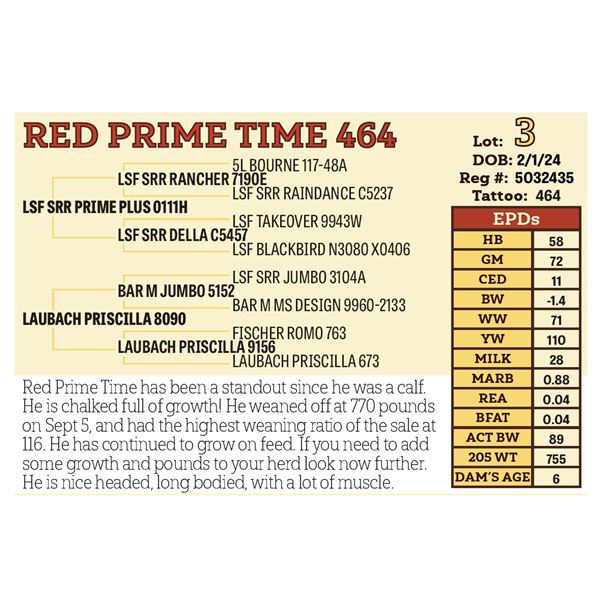 RED PRIME TIME 464