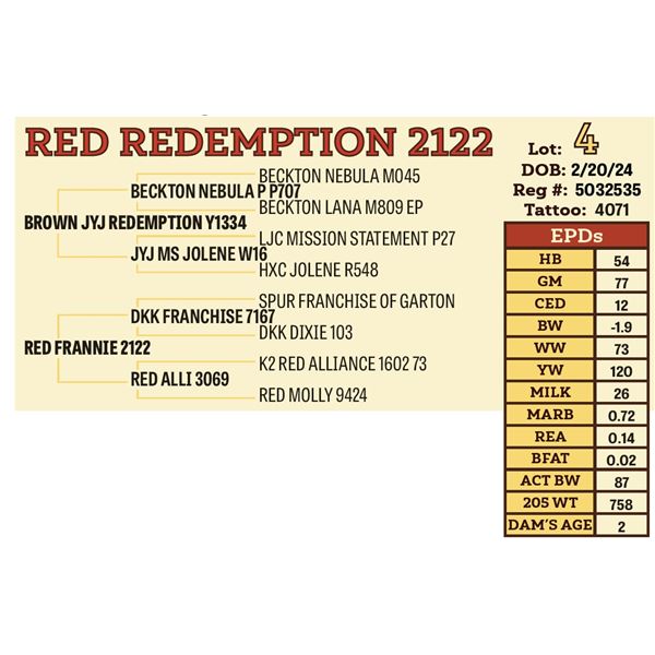 RED REDEMPTION 2122