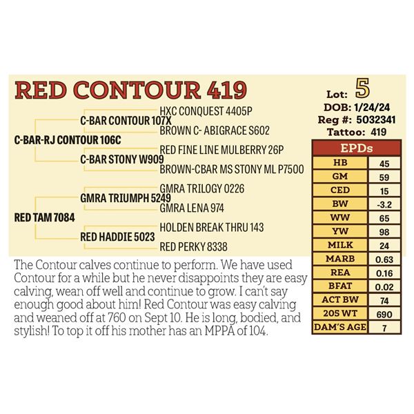RED CONTOUR 419