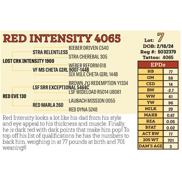 RED INTENSITY 4065