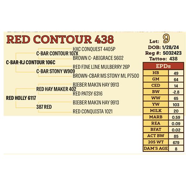 RED CONTOUR 438