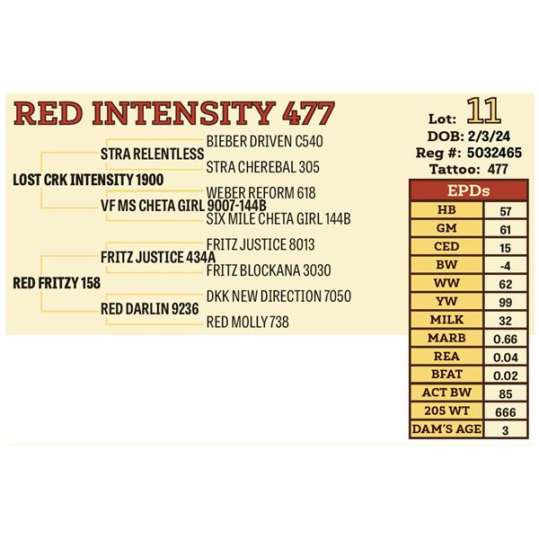 RED INTENSITY 477