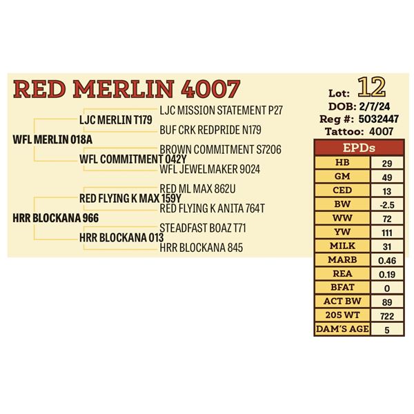 RED MERLIN 4007