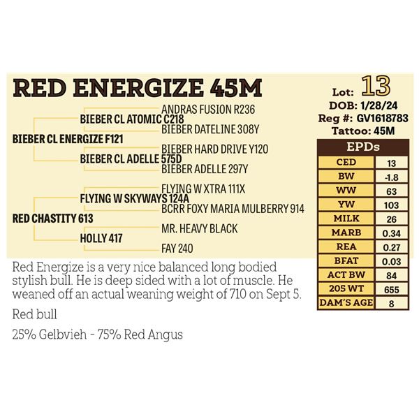 RED ENERGIZE 45M