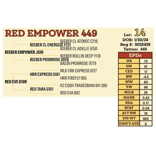 RED EMPOWER 449