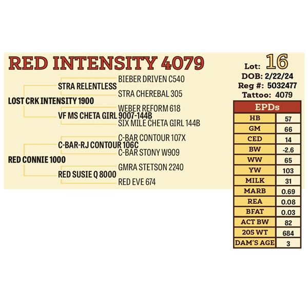 RED INTENSITY 4079