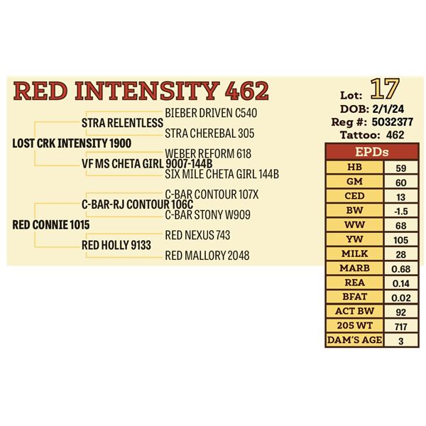 RED INTENSITY 462