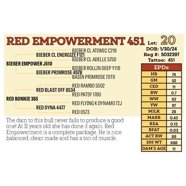 RED EMPOWERMENT 451